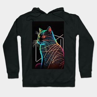 Cool Cat Portrait Neon Art Style Hoodie